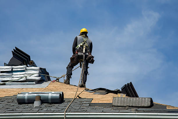 Professional Gutter Installation technician working in Linwood, NE